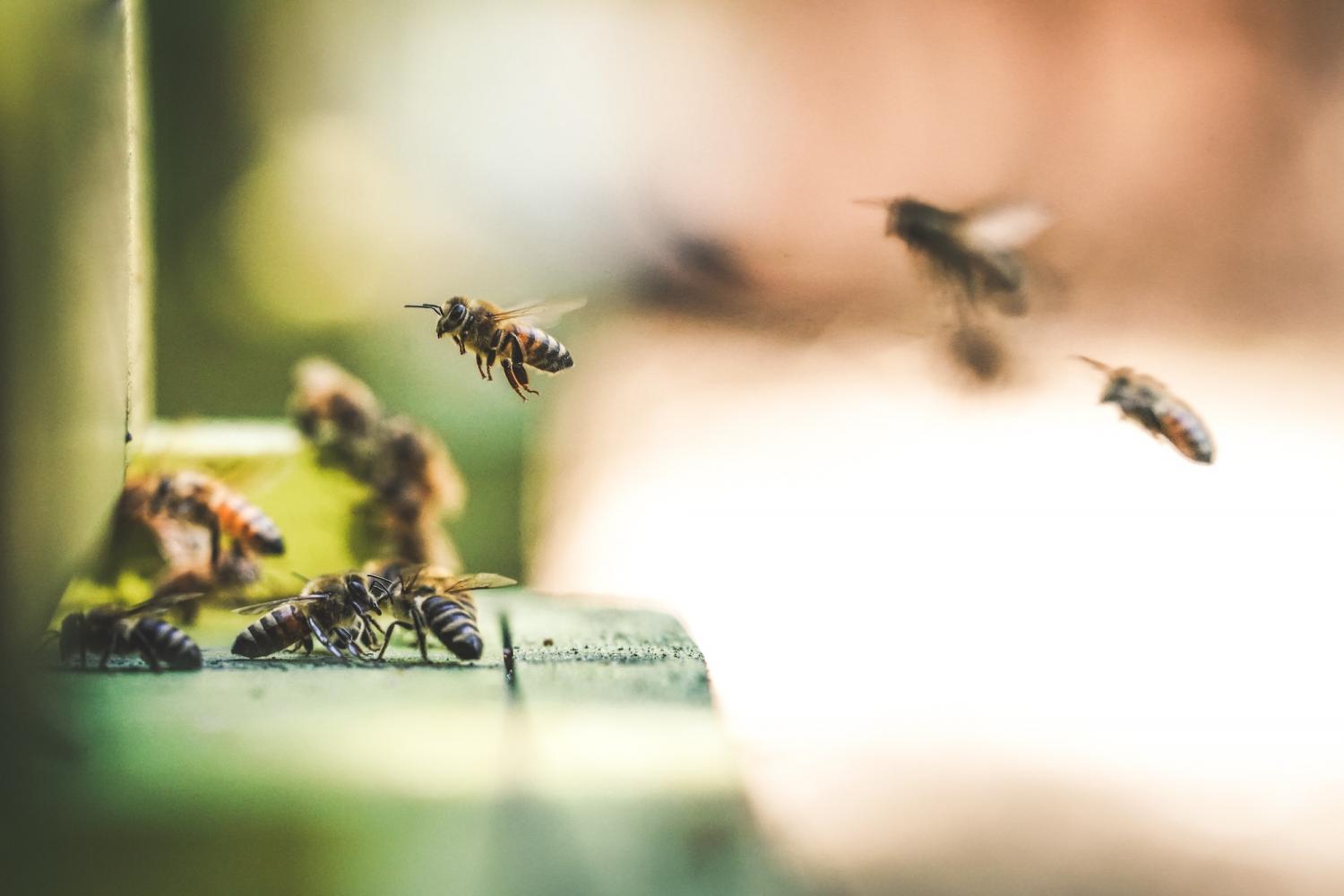 protect pollinator habitats